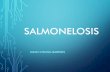 Salmonellosis Typhi y No Typhi