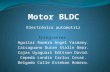 Electrónica Automotriz. Motores BLDC. Grupo 2. Presentación
