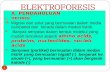 Bab Vii Teori Elektroforesis