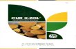 Cur X Zol (Standardized Curcuma xanthorrhiza Extract)