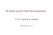 Topic 3 B Cell Development