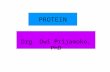 Amino Acid & Polypeptide Chain (Protein_1)