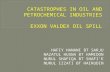 Catastrophes in Oil and Petrochemical Industries