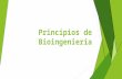Principios de Bioingeniería