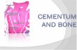 Cementum and Bone