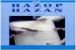 Hazop & Hazan Fouth Edition 1999