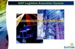SAP Logistics Execution System.pdf