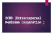ECMO (Extracorporeal Membrane Oxygenation )
