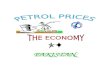 Effects of Patrol Pries on the Economy of Pakistan