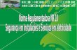 Apresentação NR 10 - Sinal Verde - Cor Branco