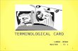 Stage - Terminological Card