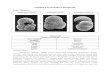 Klasifikasi Foraminifera Plangtonik.doc