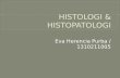 Histo & Histopatologi