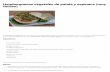 Hamburguesas Vegetales de Patata y Espinaca (Muy Fáciles) _ Recetas Veganas Fáciles _ Veganismo y Cocina Vegetariana
