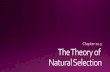 The Theory of Natural Selection 10.3