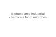 09Biofuels and Industrial Chemicals From Microbes