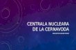 Proiect fizica  despre Centrala Nucleara de La Cernavoda