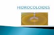 Hidrocoloides II
