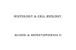 15. Hematopoiesis