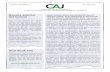 Boletín CAJ 09