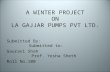 Winter Project Pptx