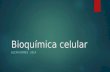 Aula 1 Bioquimica Celular Lucas Gomes