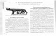 190506583-2656551-manual-istorie-2008 (1).pdf