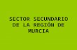 EL SECTOR SECUNDARIO EN LA REGIÓN DE MURCIA.ppt