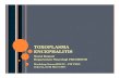 03- Toxoplasma Encephalitis - Pit Pdui [Compatibility Mode]