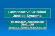 Comparative Criminal Law Justice