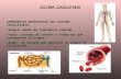 Presentación Circulatorio CNBA
