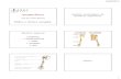 Aula 03 - Ombro e Cintura escapular(1).pdf