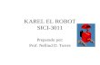 SICI 3011 El Robot Karel