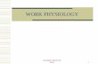 w4 Work Physiology1