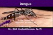 5.Dengue Dan DHF
