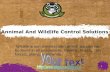 Wildlife Removal & Animal Control Services