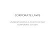 PPt's Corporate Laws