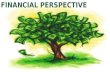 Financial Perspective for entrepreneurs