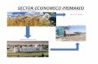 Sectores Economicos BIMBO