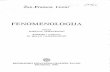 Žan-Fransoa Liotar - Fenomenologija