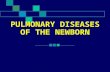 Pulmonary Diseases of the Newborn
