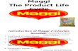 Maggi the Product Life Cycle