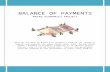 Balance of Payments India