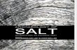 9789088903038 - Brigand & Weller 2015 - Archaeology of Salt - eBook