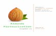 Almonds Pastuerization