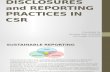 CSR - Reporting and Disclosure Practices