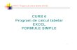 Curs 6 S1 - Program de Calcul Tabelar EXCEL