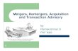Merger Demerger Acquisiiton and Transaction Advisory