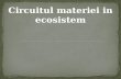 Circuitul materiei in ecosistem