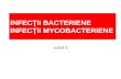Cursul 3 Bacterii